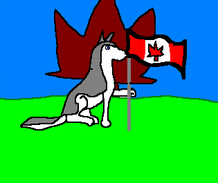 Bitmap Image